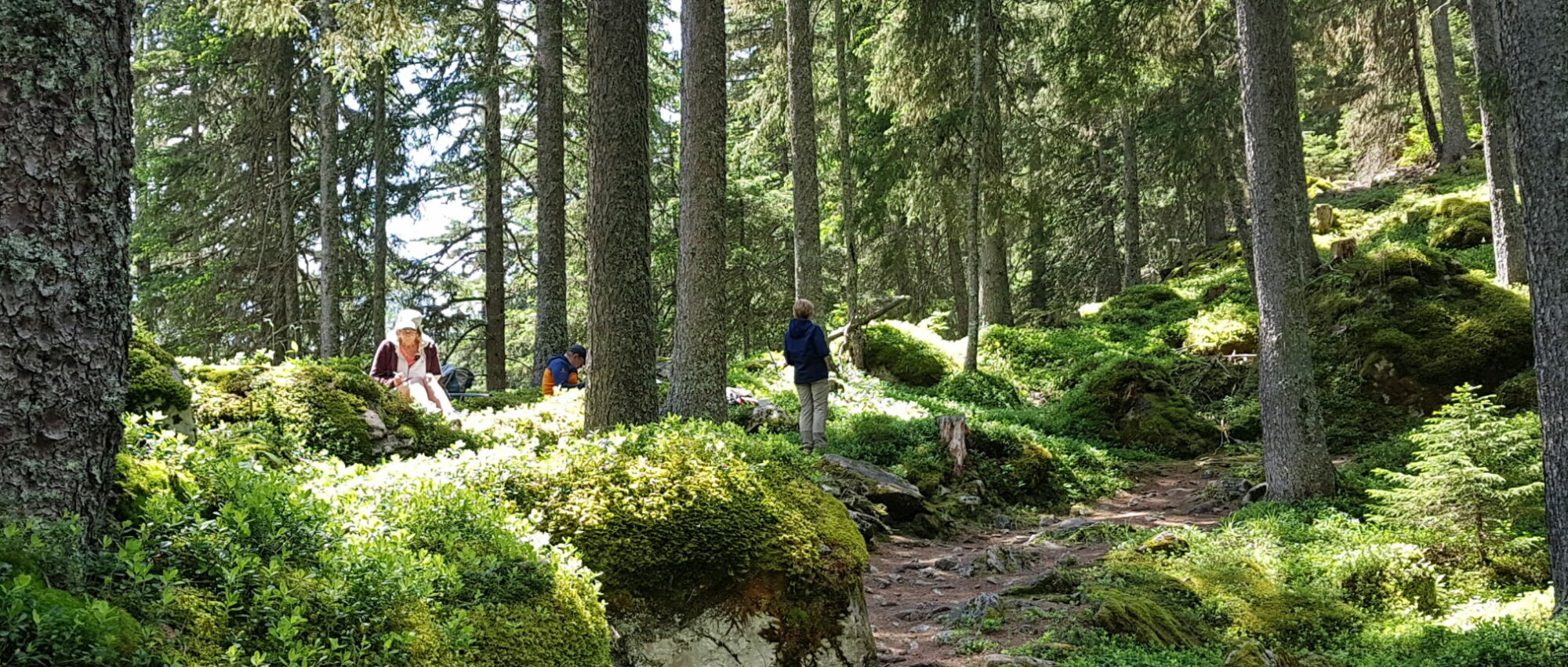 Redécouvrir la nature par le dessin et la peinture